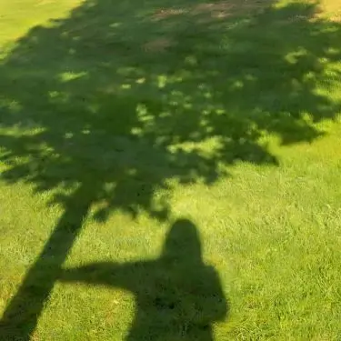 Derfor skal du plante træer i din have